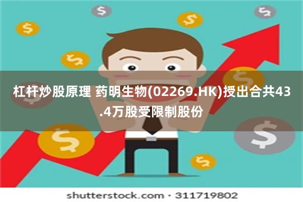 杠杆炒股原理 药明生物(02269.HK)授出合共43.4万股受限制股份