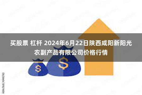 买股票 杠杆 2024年6月22日陕西咸阳新阳光农副产品有限公司价格行情