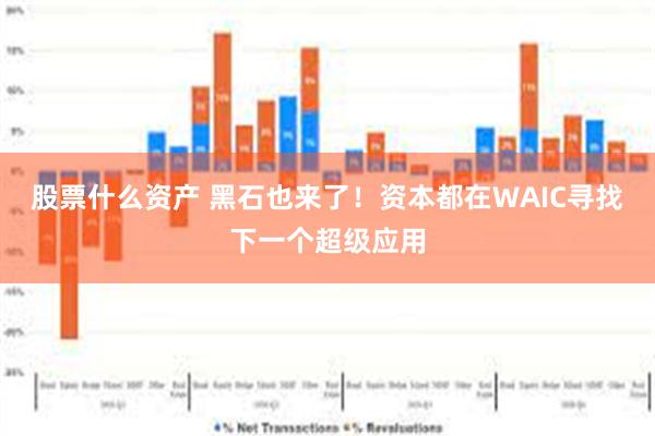 股票什么资产 黑石也来了！资本都在WAIC寻找下一个超级应用