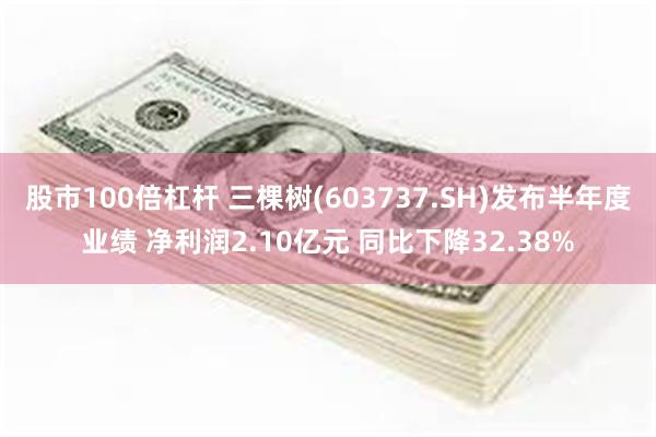 股市100倍杠杆 三棵树(603737.SH)发布半年度业绩 净利润2.10亿元 同比下降32.38%