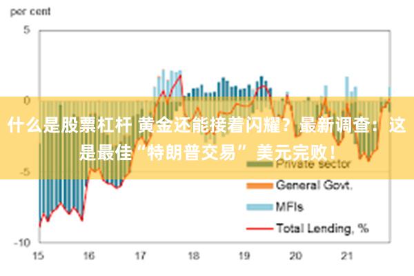 什么是股票杠杆 黄金还能接着闪耀？最新调查：这是最佳“特朗普交易” 美元完败！