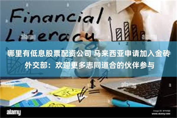 哪里有低息股票配资公司 马来西亚申请加入金砖 外交部：欢迎更多志同道合的伙伴参与