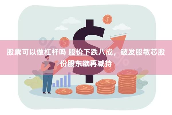 股票可以做杠杆吗 股价下跌八成，破发股敏芯股份股东欲再减持