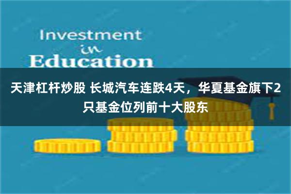 天津杠杆炒股 长城汽车连跌4天，华夏基金旗下2只基金位列前十大股东