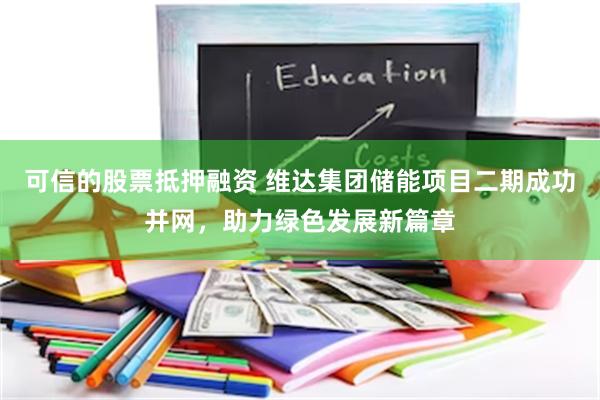 可信的股票抵押融资 维达集团储能项目二期成功并网，助力绿色发展新篇章