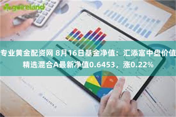 专业黄金配资网 8月16日基金净值：汇添富中盘价值精选混合A最新净值0.6453，涨0.22%