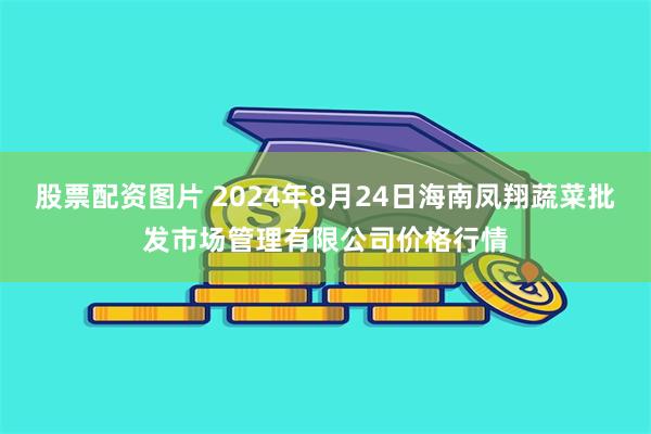 股票配资图片 2024年8月24日海南凤翔蔬菜批发市场管理有限公司价格行情