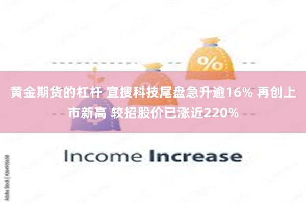 黄金期货的杠杆 宜搜科技尾盘急升逾16% 再创上市新高 较招股价已涨近220%