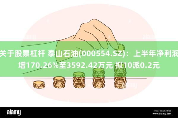 关于股票杠杆 泰山石油(000554.SZ)：上半年净利润增170.26%至3592.42万元 拟10派0.2元