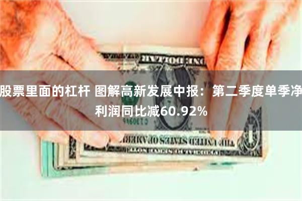 股票里面的杠杆 图解高新发展中报：第二季度单季净利润同比减60.92%