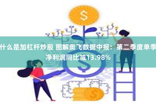 什么是加杠杆炒股 图解奥飞数据中报：第二季度单季净利润同比减13.98%