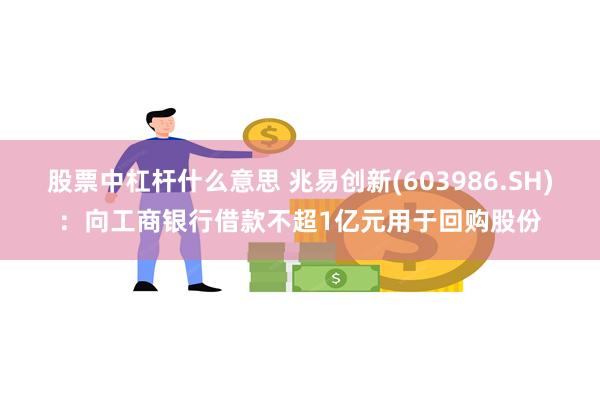 股票中杠杆什么意思 兆易创新(603986.SH)：向工商银行借款不超1亿元用于回购股份