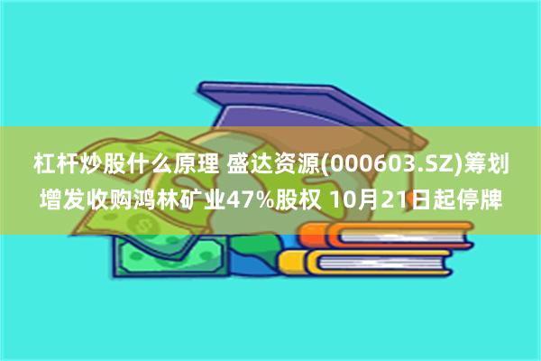 杠杆炒股什么原理 盛达资源(000603.SZ)筹划增发收购鸿林矿业47%股权 10月21日起停牌