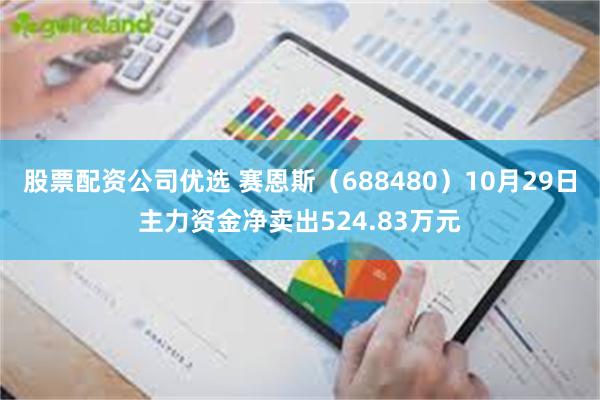 股票配资公司优选 赛恩斯（688480）10月29日主力资金净卖出524.83万元