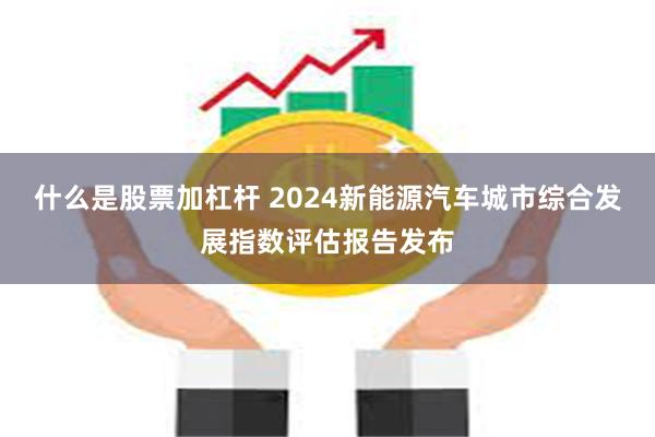 什么是股票加杠杆 2024新能源汽车城市综合发展指数评估报告发布