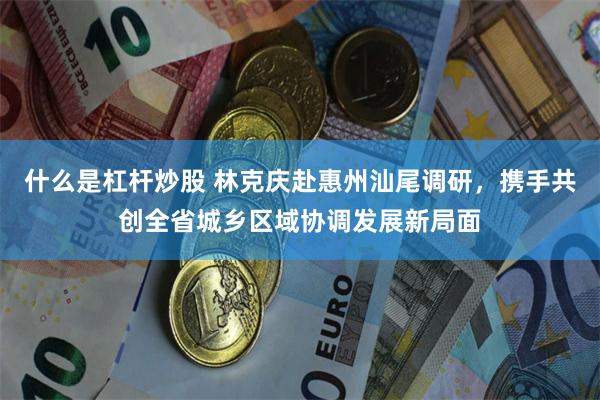 什么是杠杆炒股 林克庆赴惠州汕尾调研，携手共创全省城乡区域协调发展新局面