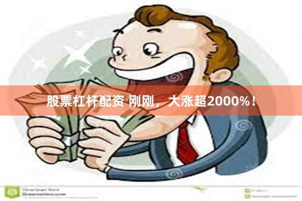 股票杠杆配资 刚刚，大涨超2000%！