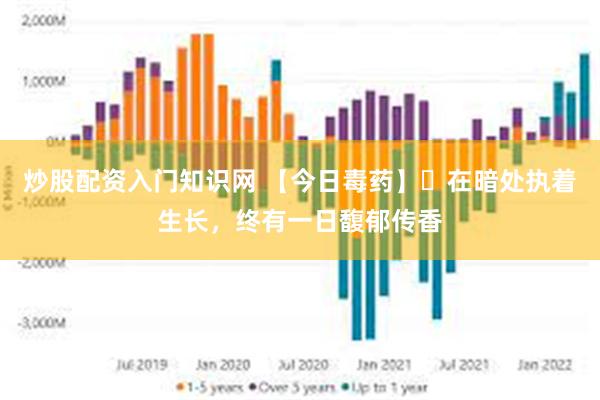 炒股配资入门知识网 【今日毒药】​在暗处执着生长，终有一日馥郁传香