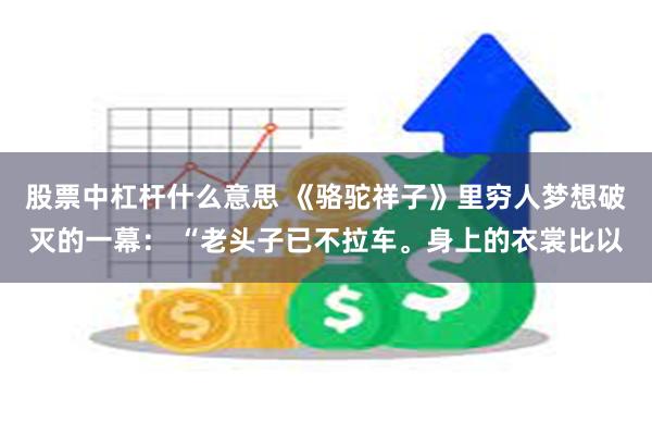 股票中杠杆什么意思 《骆驼祥子》里穷人梦想破灭的一幕： “老头子已不拉车。身上的衣裳比以
