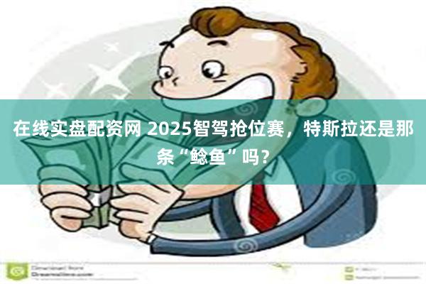 在线实盘配资网 2025智驾抢位赛，特斯拉还是那条“鲶鱼”吗？