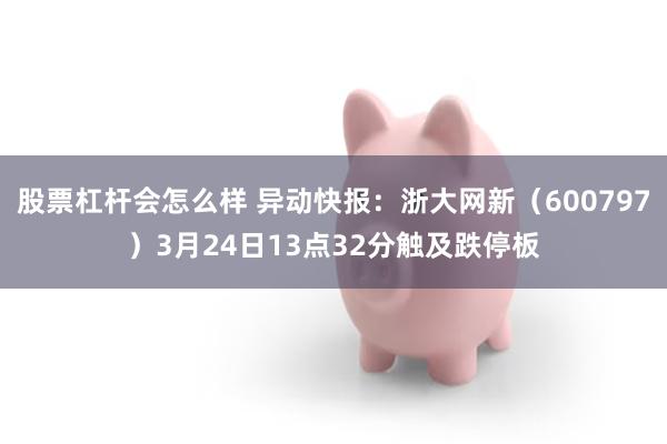 股票杠杆会怎么样 异动快报：浙大网新（600797）3月24日13点32分触及跌停板